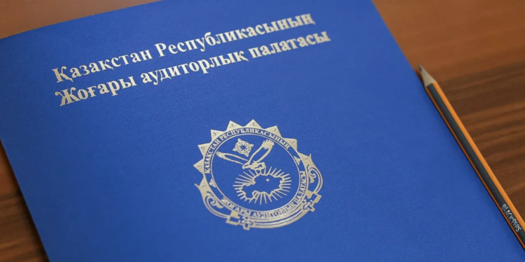 Куда ушли 133 млрд тенге? ВАП выявила массу нарушений по мерам господдержки бизнеса