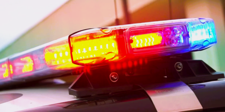 200 долларов или лишение прав? Алматинка пожаловалась на взяточничество в полиции