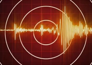 Мощные толчки из Китая ощутили жители не только Алматы, но и нескольких областей Казахстана