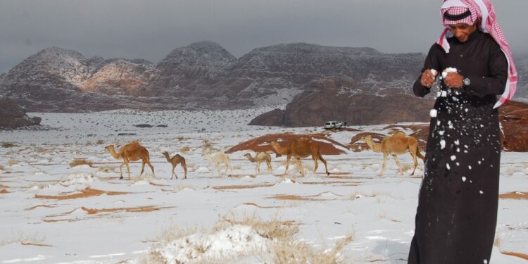 Снегом завалило Саудовскую Аравию (ВИДЕО)
