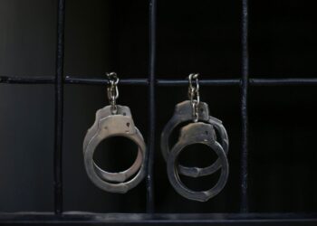 Дело о суррогатном материнстве: в Алматы задержали иностранцев с младенцами