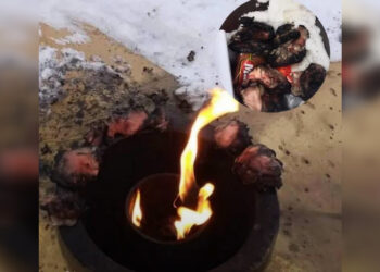 Житель Риддера получил пять суток ареста за жарку курицы на Вечном огне