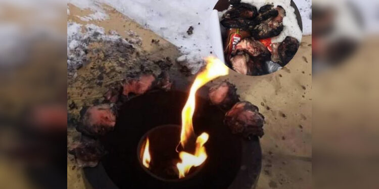 Житель Риддера получил пять суток ареста за жарку курицы на Вечном огне