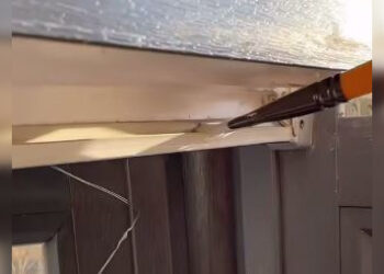 Художница показала, чем дышат жители Алматы (ВИДЕО)