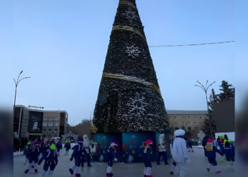 Зажжение главной ёлки в Петропавловске перенесли из-за мороза