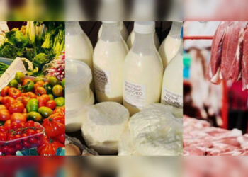 Депутат заявил о падении производства в сельском хозяйстве: что ответили в Минсельхозе РК