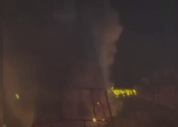 Праздничное событие в Грузии закончилось пожаром: ёлка сгорела дотла (ВИДЕО)