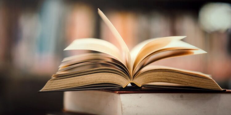 Президент утвердил обладателей специальной литературной премии для молодых авторов в 2025 году