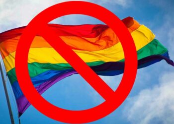 Сенат рассмотрит закон о запрете «пропаганды ЛГБТ» 18 декабря