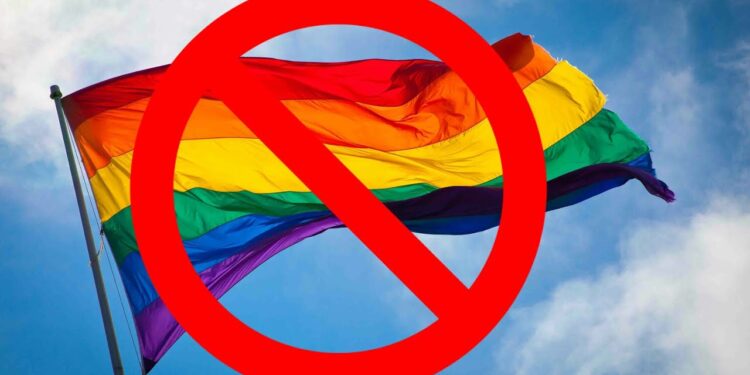 Сенат рассмотрит закон о запрете «пропаганды ЛГБТ» 18 декабря