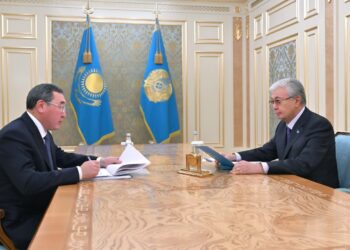 Токаеву доложили о реализации инвестпроектов почти на полтриллиона тенге в Алматинской области