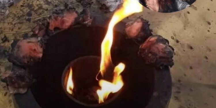 На Вечном огне в Риддере жарили курицу: полиция проводит проверку