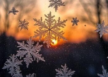 Синоптики рассказали о погоде на 11 декабря