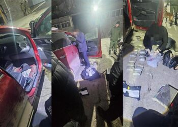 Перевозчика с 30 кг героина, опия и гашиша задержали пограничники