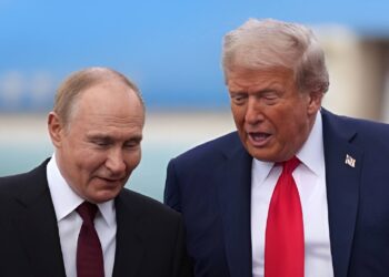 Трамп поговорил с Путиным перед встречей с Зеленским