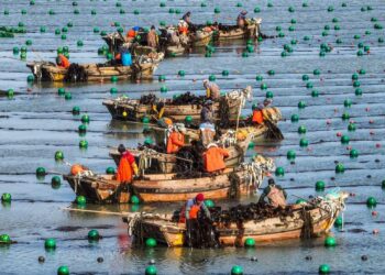 Казахстанцам-нелегалам разрешили уехать из Южной Кореи без штрафов