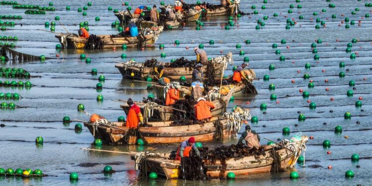 Казахстанцам-нелегалам разрешили уехать из Южной Кореи без штрафов