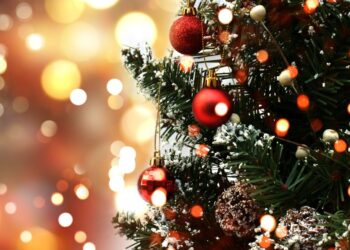 Сарыагашский дрифт: водитель снёс главную городскую ёлку и теперь ходит пешком