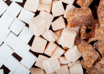 Сахарный завод, птицефабрику и переработку фруктов запустят в Казахстане