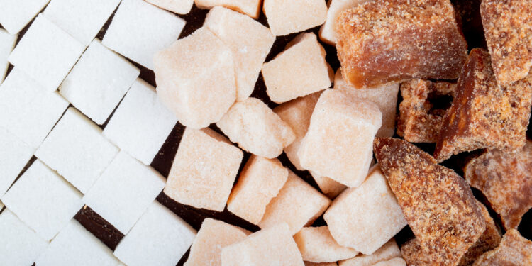 Сахарный завод, птицефабрику и переработку фруктов запустят в Казахстане