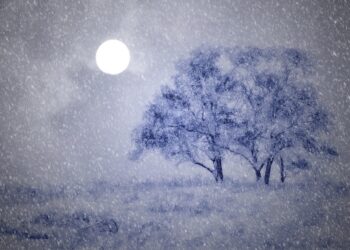 В ЗКО во время метели погибли трое человек