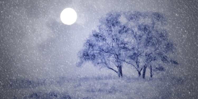 В ЗКО во время метели погибли трое человек