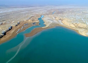 Касым-Жомарт Токаев напомнил миру о важности спасения Арала