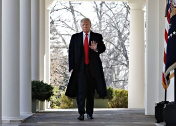 Рейтинг Дональда Трампа подскочил до максимума с октября 2025 года