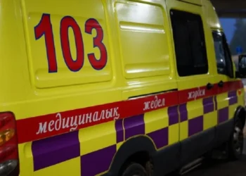 Мать и двое детей погибли от угарного газа в Туркестанской области