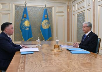 Президент принял председателя Верховного суда Асламбека Мергалиева