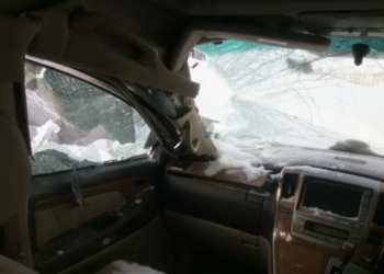 Иностранцы погибли в результате ДТП на трассе Алматы – Бишкек