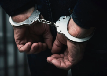 Ущерб на 1,9 млрд тенге: по делу о незаконном импорте задержан сотрудник ДГД ЗКО