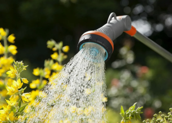 Спецгруппу для борьбы с хищениями воды создадут в Казахстане