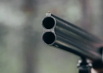 Стрельба в Астане: уличный “охотник” открыл огонь по сотруднику полиции