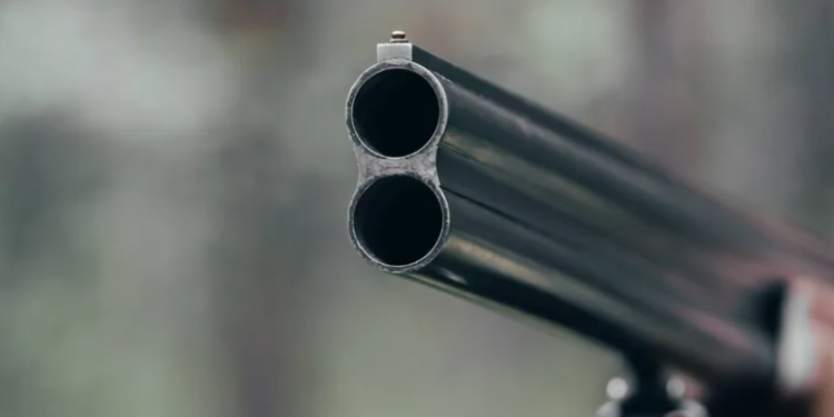 Стрельба в Астане: уличный “охотник” открыл огонь по сотруднику полиции