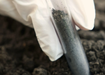 Почвы в Казахстане загрязнены радиоактивными отходами, тяжёлыми металлами и нефтью ― CACF