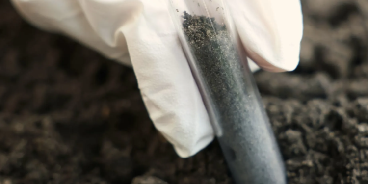 Почвы в Казахстане загрязнены радиоактивными отходами, тяжёлыми металлами и нефтью ― CACF