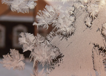 Морозы до 38 градусов ударят в некоторых регионах Казахстана