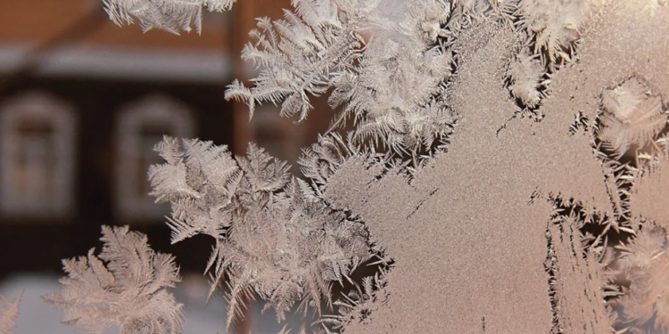 Морозы до 38 градусов ударят в некоторых регионах Казахстана