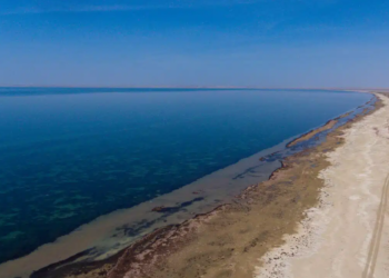 Премьер поручил ускорить вторую фазу спасения Арала