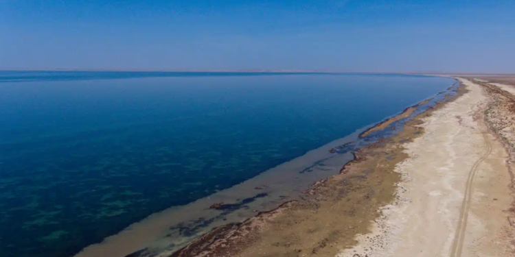 Премьер поручил ускорить вторую фазу спасения Арала