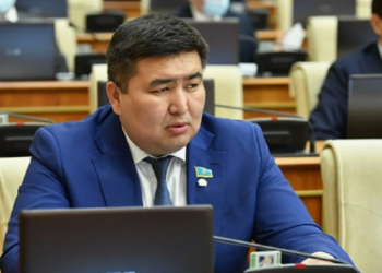 Депутат Бейсенбаев: Народный совет не должен превращаться в ещё один парламент