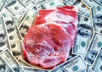 Экспорт мяса и мошенничество в субсидировании школ и клиник: Бектенов дал госорганам неделю на выработку мер