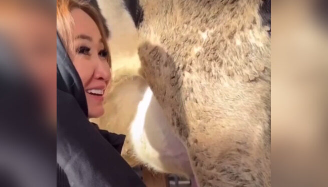 Настоящий релакс: депутат Каракат Абден подоила корову на встрече с фермерами