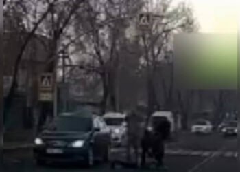 Момент наезда на женщину в Алматы попал на видео