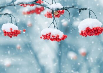 Сильные снегопады и потепление ожидаются в Казахстане