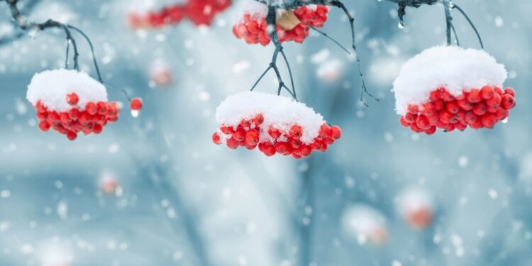 Сильные снегопады и потепление ожидаются в Казахстане