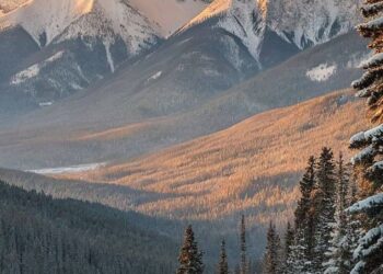 Синоптики сообщили о погоде на 9 января