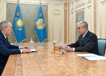 Президент принял главу АФМ Жаната Элиманова