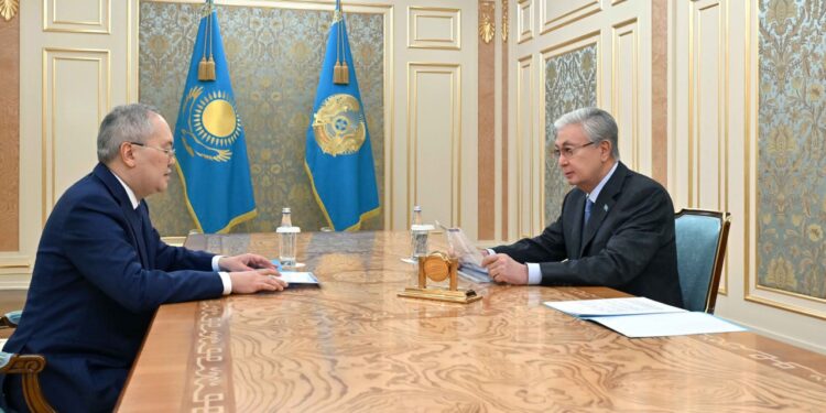 Президент принял главу АФМ Жаната Элиманова